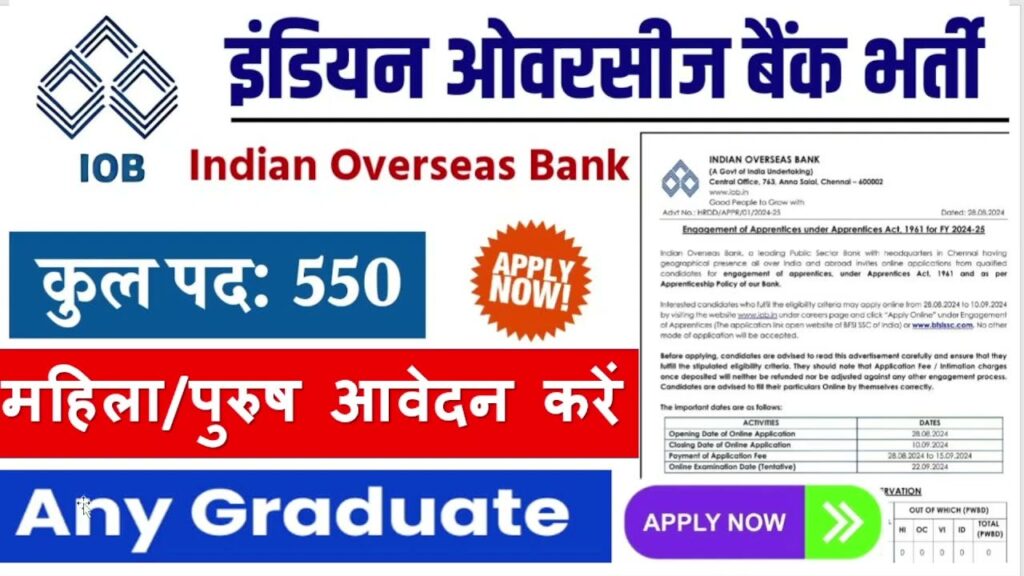 IOB Bank Vacancy 2024